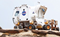 NASA's rover will soon head towards Mars, featuring about 70 3D-printed parts. (Photos: Stratasys)