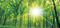 Let us provide the capital to enable your business to grow