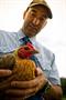 Dr Raf Freire: 'The chance of a mortality outbreak (for hens) may be no greater in alternative systems than in battery cages.'