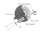 Incremental Optical Encoder