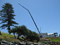 Hire Equipment | Crane Hire