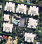 Multi Residential Design and Risk Smart Approvals