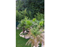 Landscaping Services