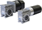 Worm Gear Motor | Robin | AC & DC