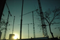 Financial Services | Construction Finance