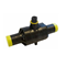 PE Ball Valves | Series 85