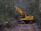 Land Clearing