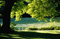 Environment Management System | ISO 14001:2004