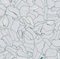 Anti Static ESD Flooring - Colorex EC Plus 