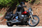 Engine Oils - MCV - SAE 20W-50 Synthetic Motorcycle Oil