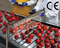 CE Compliant Air Knives Assure Safe Operations