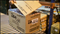 Automatic Box Opener | Case Splitter