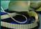 Power Transmission Belts