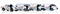 Forklift Rental & Leasing