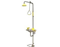 Global Spill Control - Combination Deluge Shower & Eyewash - GSSE607