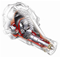 Differential Gear & Propellor Shaft Components | NSK 