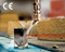 Pico Super Air Nozzle For Precision Blowoff