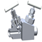 Compact Union Bonnet Tandem Valve