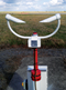 CS120 Visibility Sensor