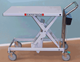 Lifting Tilting and Rotating - DC Powered Lifting Trolleys